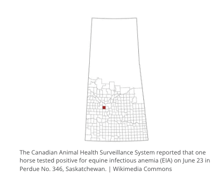 Screen-Shot-2022-07-05-at-11.40