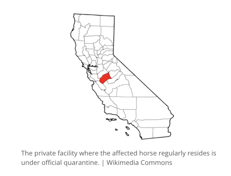 Screen-Shot-2022-08-12-at-4.07