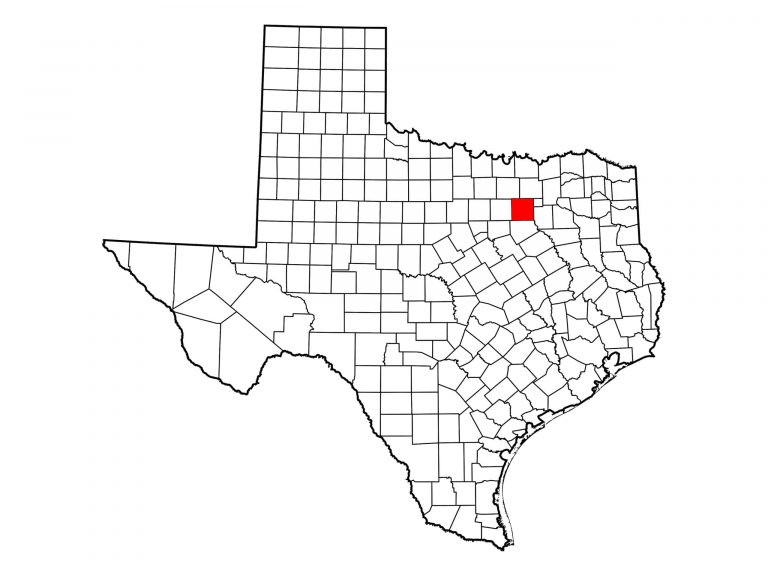 TX_dallasCo