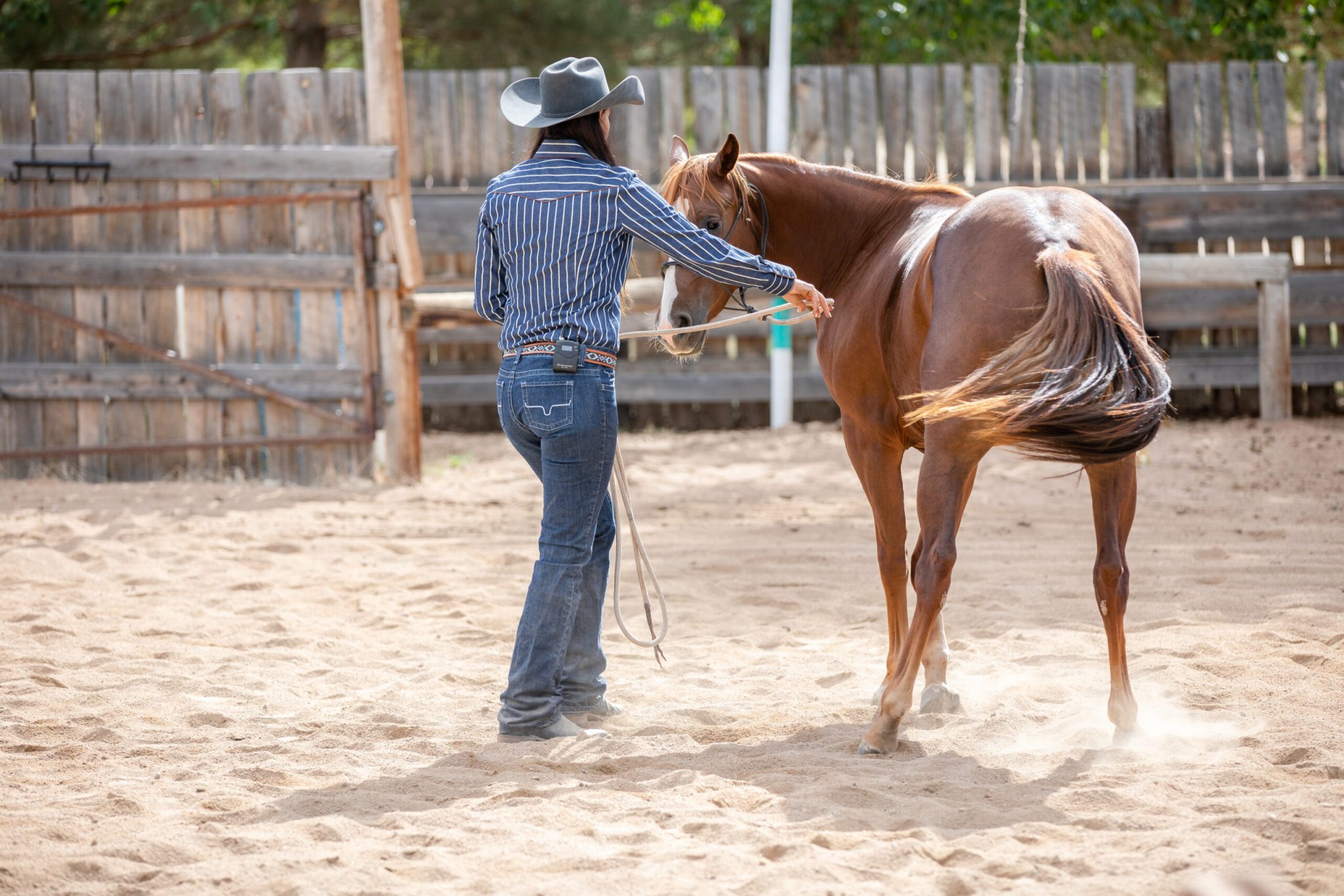 Can Correct Leg Position Improve Your Riding? - Horse and Rider