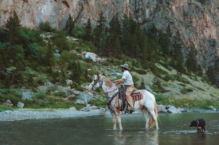 FA034183-19C2-4FA9-B82C-497FC199D8A3-1