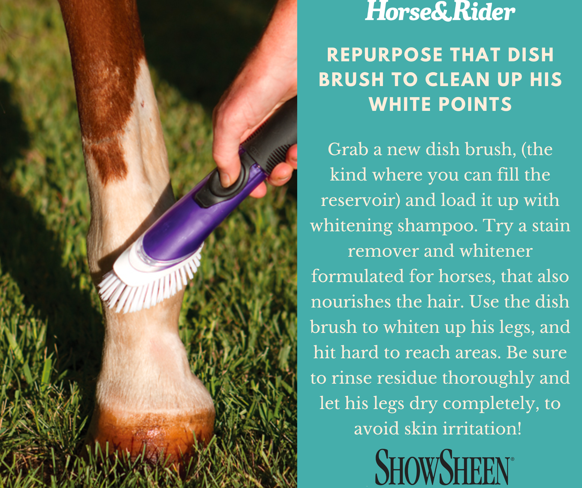 A Handy Hack to Touch Up His White Points Horse and Rider