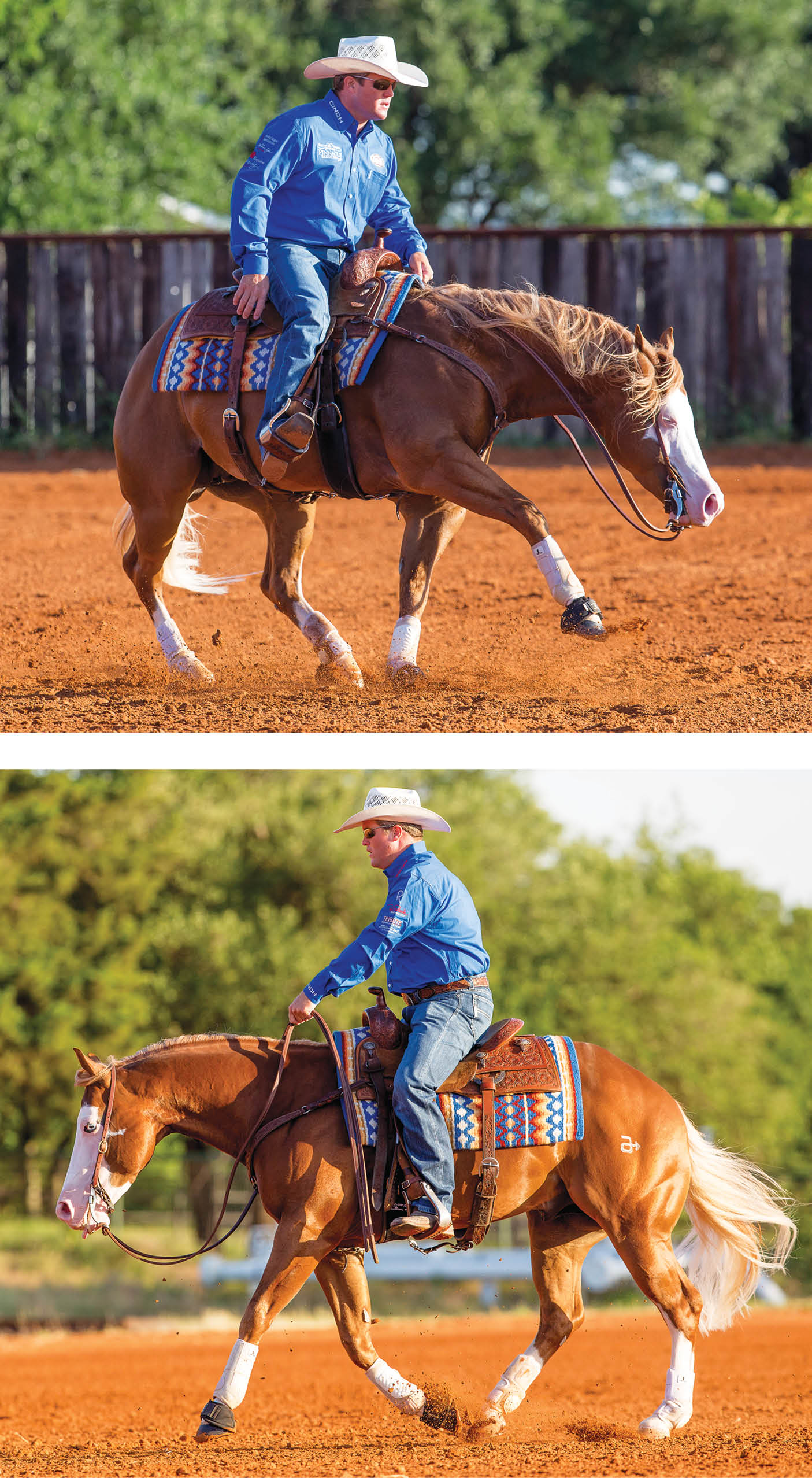 Pick a Performance Prospect That Fits - Horse and Rider