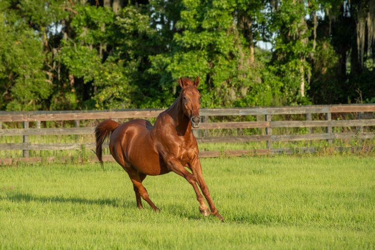 AdobeStock_530852413