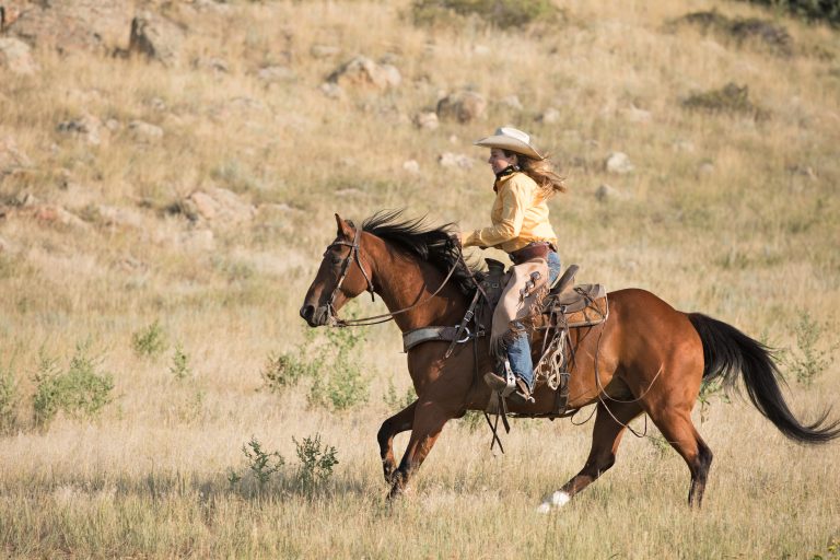 cowgirl riding horse