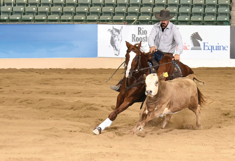 HR_23FALL_Travel_Reno Snaffle Bit Futurity_01