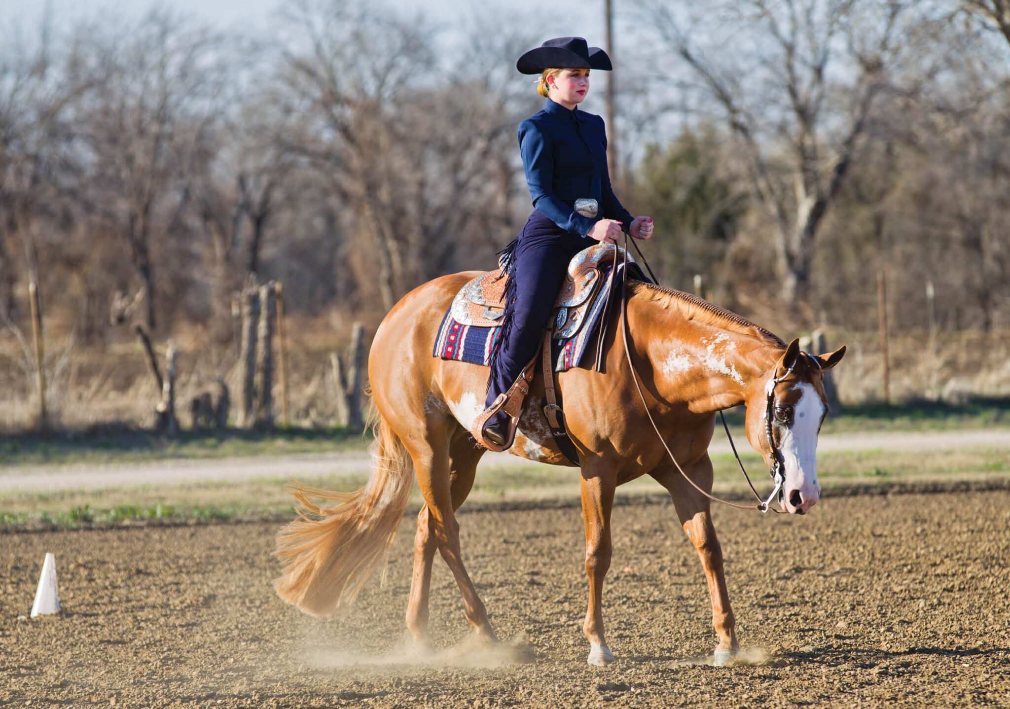 Planning to Win - Horse and Rider