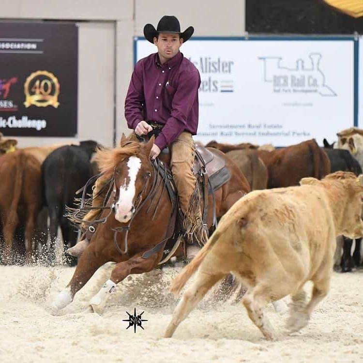 Jade Keller on a horse with a cow