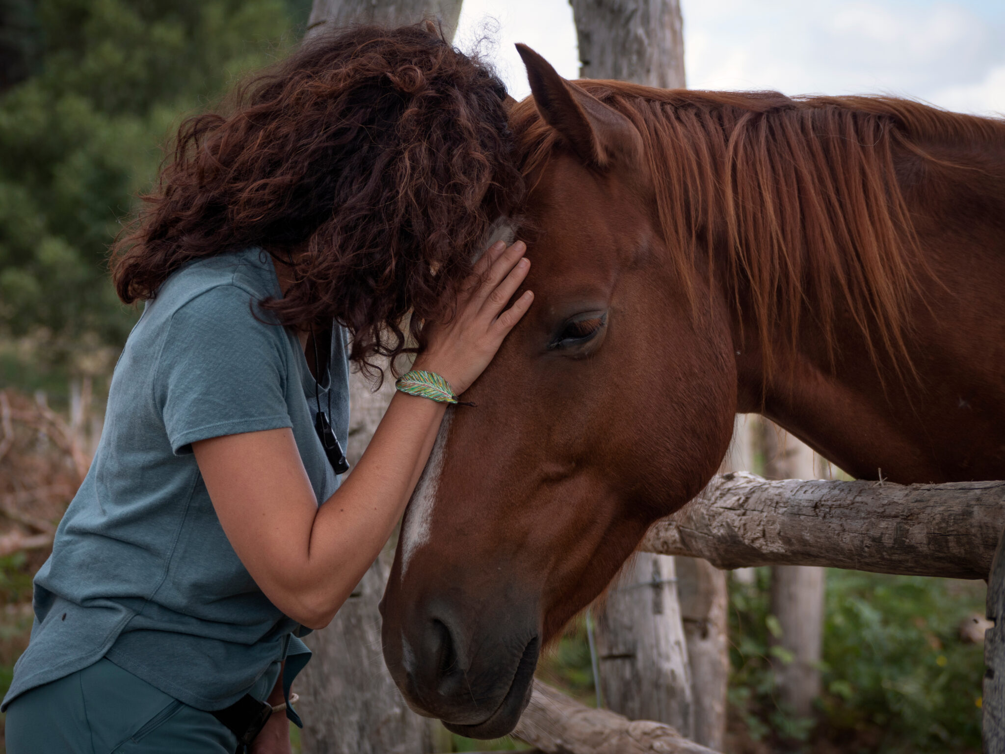 3 Common Causes of Equine Stress Horse and Rider