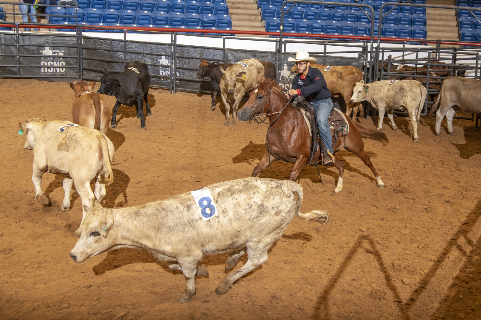 Equine Network Adds Cinch Ranch Sorting National Championships to Best
