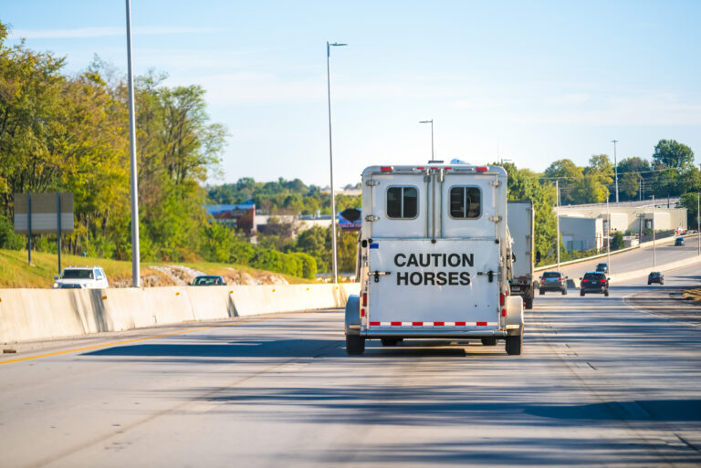 Transport trailer on truck hauling transporting horses livestock on highway road near Charleston, West Virginia with warning caution sign