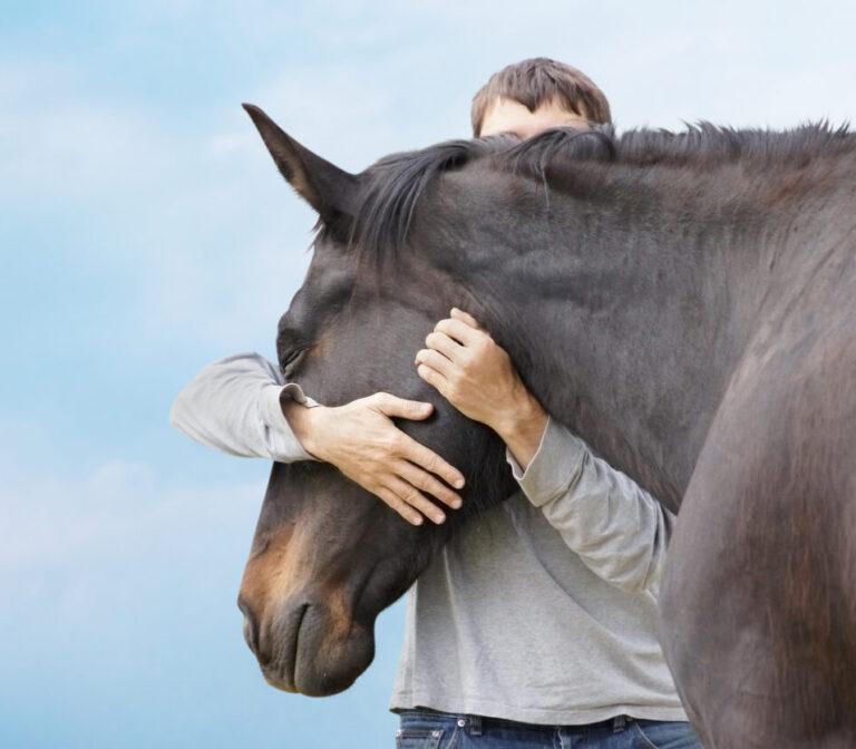 Man hugging his black horse's head against  sky, banner