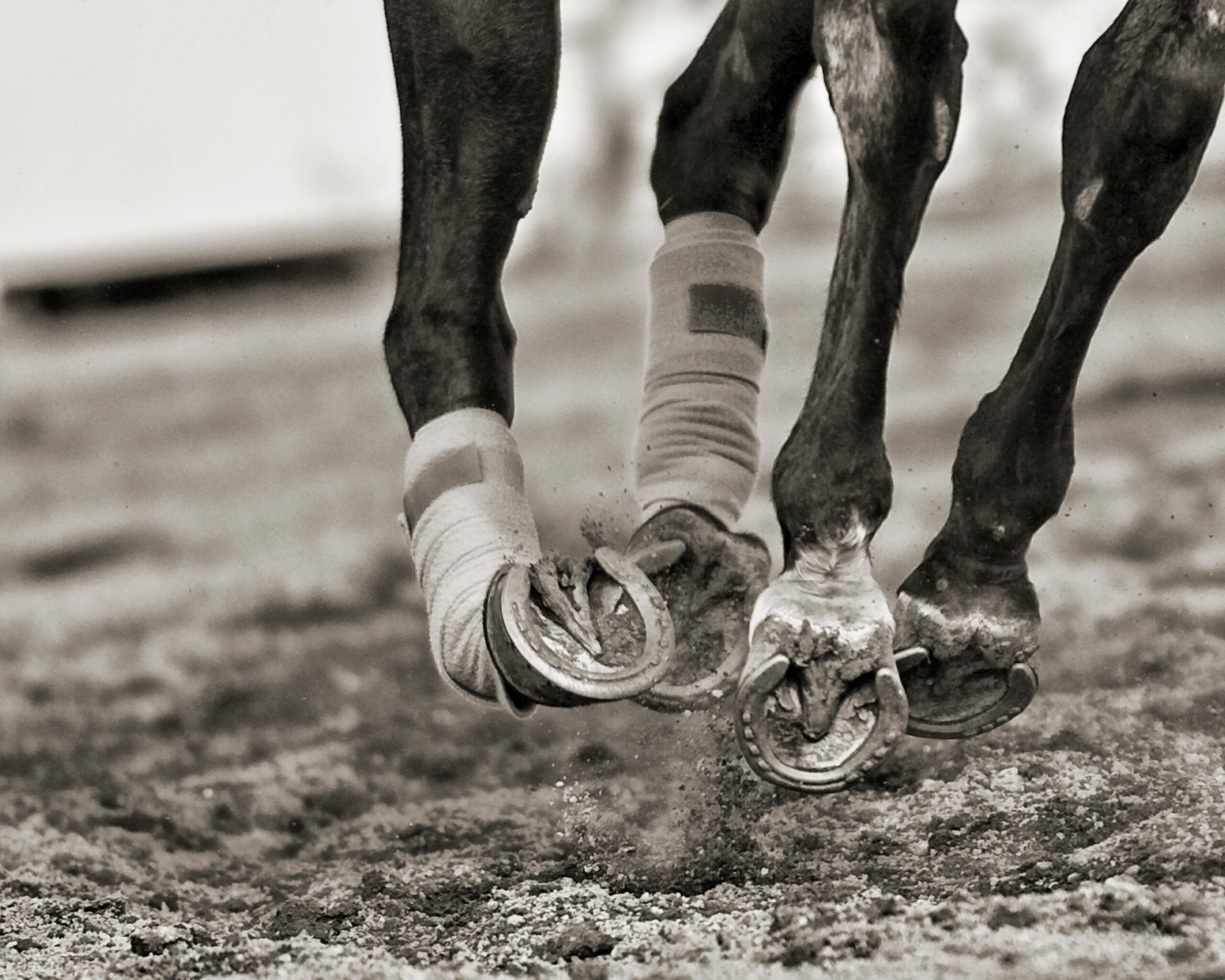 Stuck In a Training Rut? Try This. - Horse and Rider