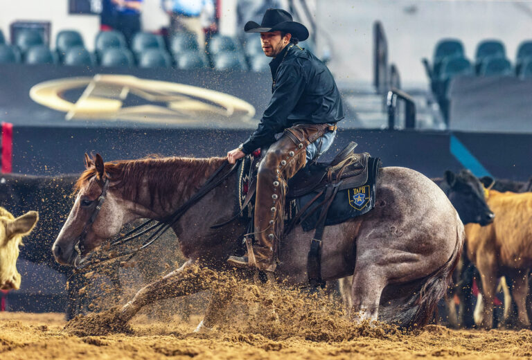 018_HR_SPG24_travel_American Performance Horseman_03