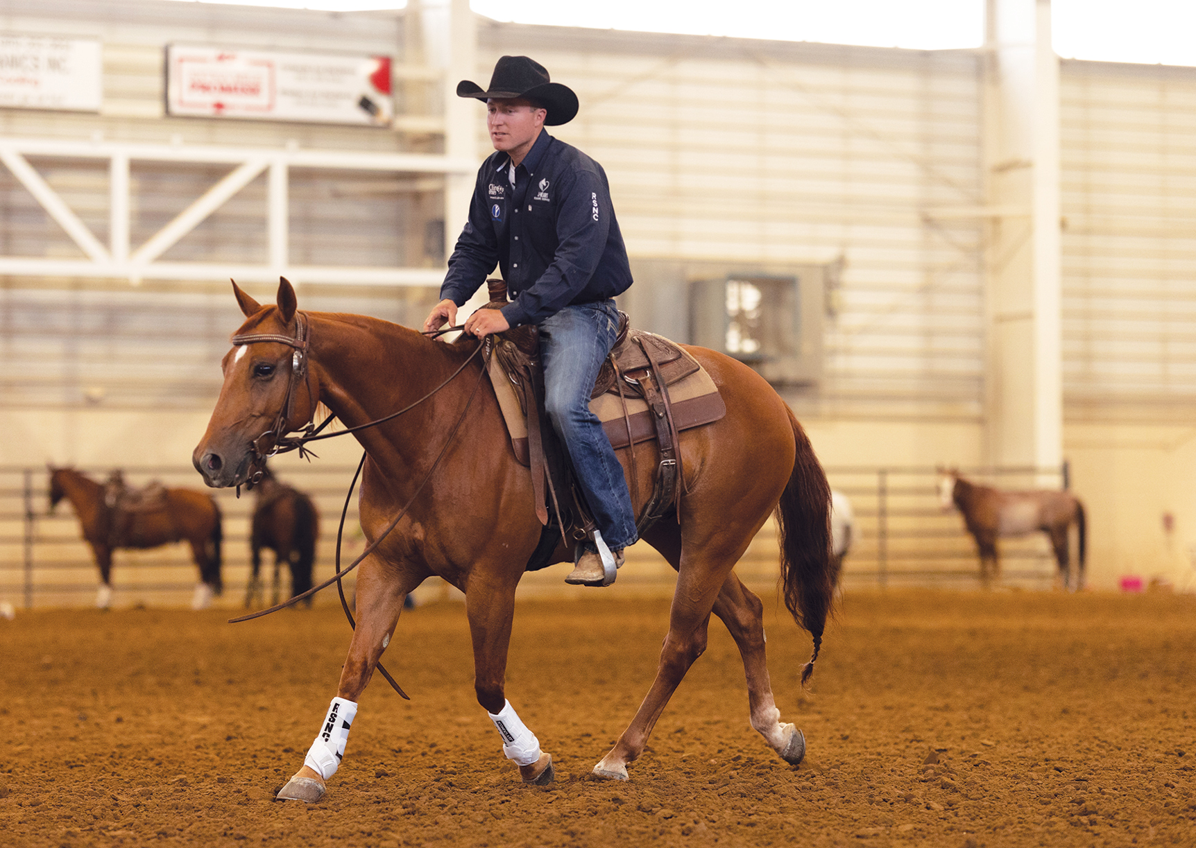 Rate-Down Drill - Horse and Rider