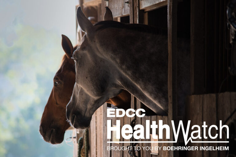 EDCC-Image-13-Larger-Logo-scaled