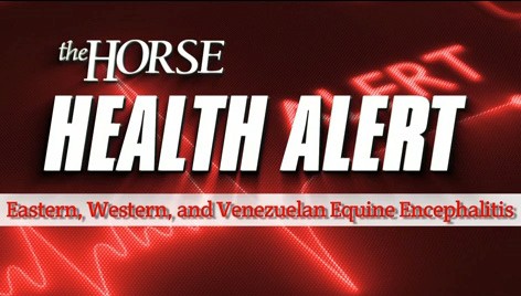 Health Alert: EEE, WEE, and VEE