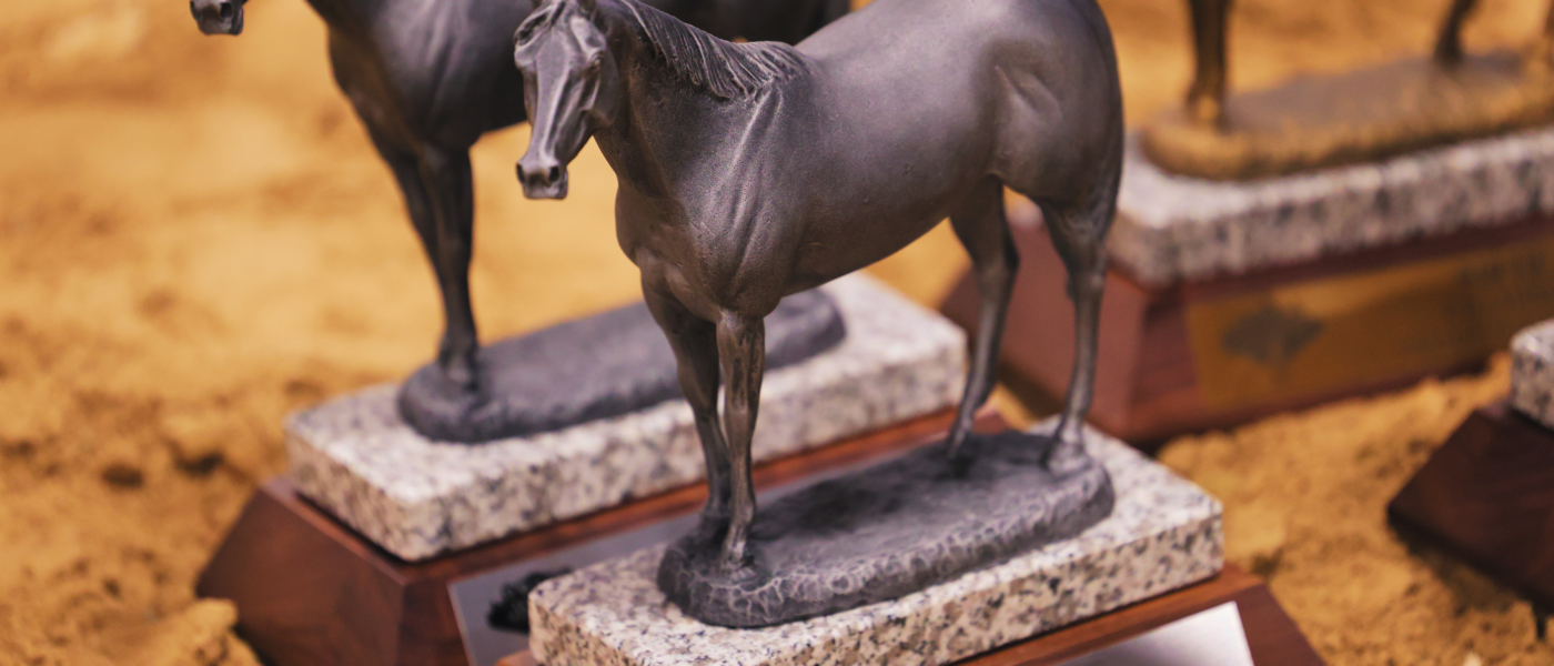 Cinch RSNC award trophies