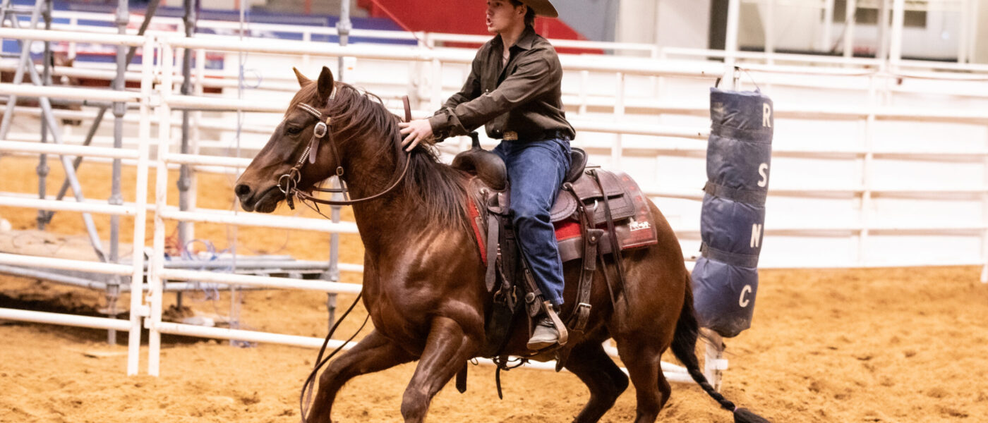 RodeoHouston Cinch RSNC ranch sorting