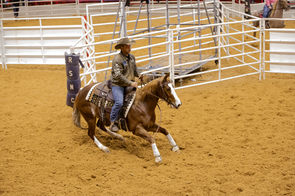 The Freak, Cattinlilreycat, under Nelson Mas at Cinch RSNC RodeoHouston ranch sorting in 2025