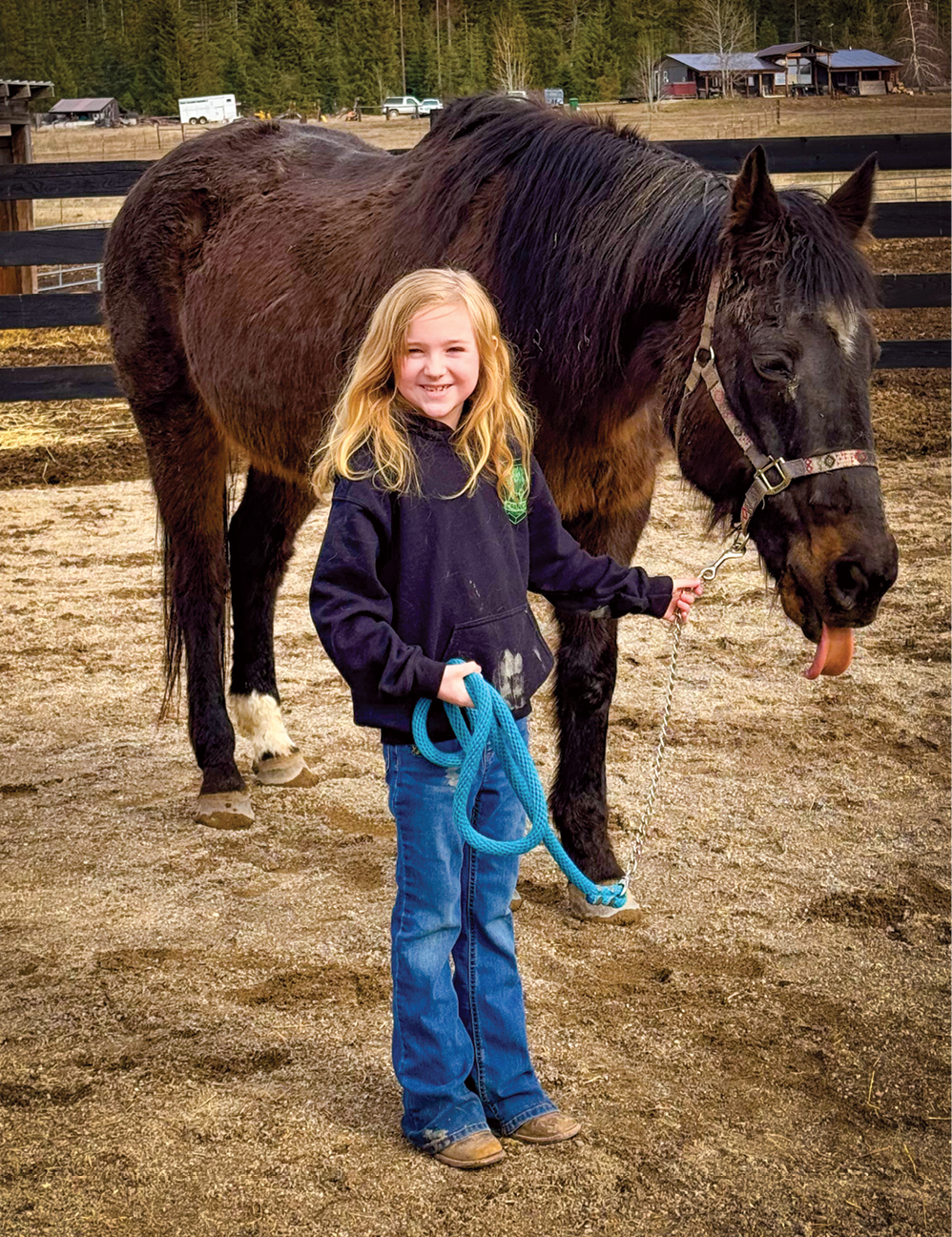 The Lucky Seven: Washington Horse Rescue Rallies to Rehome Herd After Owner’s Passing