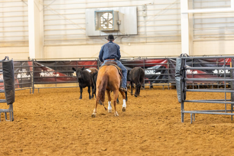 RanchSorting_NicholeChirico_0624-78