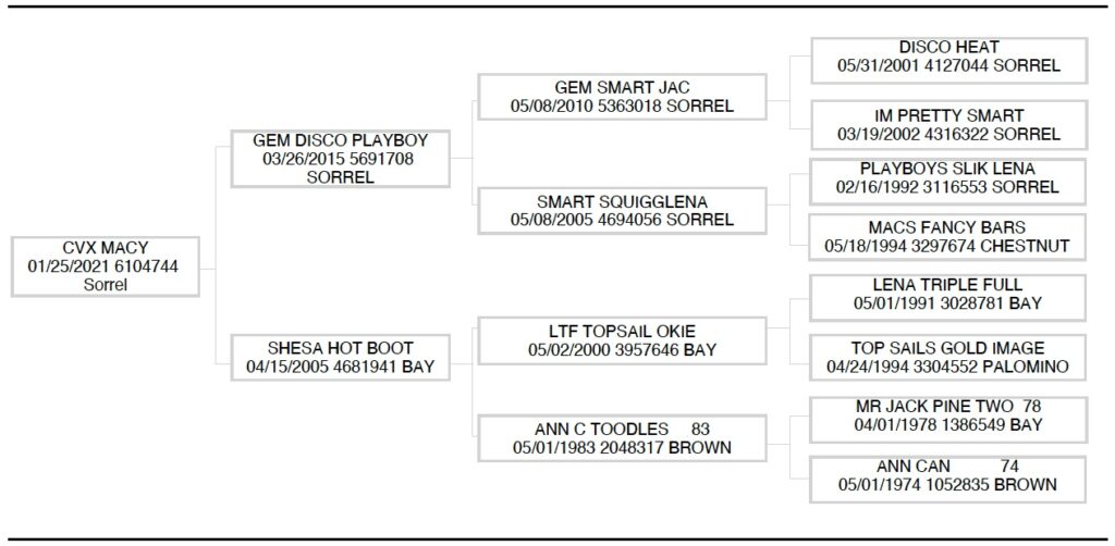 AQHA pedigree: CVX Macy