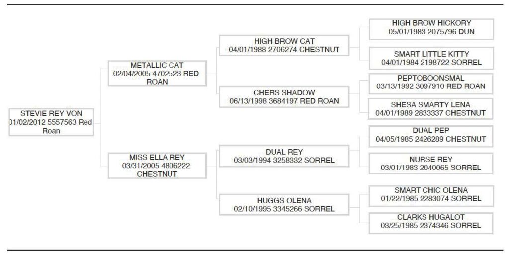 AQHA text pedigree for stallion Stevie Rey Von