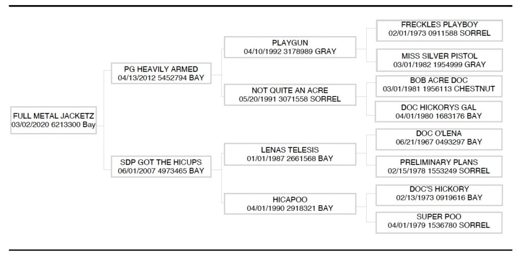 AQHA pedigree of Full Metal Jacketz