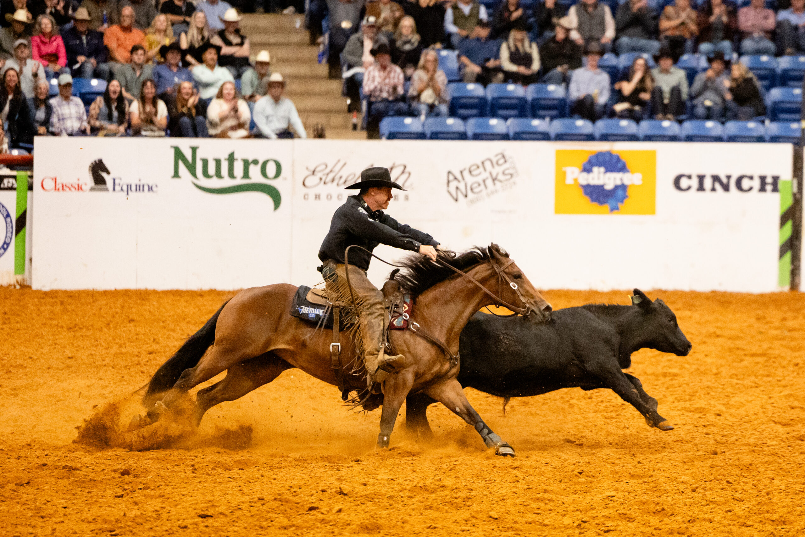 John Swales and Bowie Nights Claim 2025 Snaffle Bit Futurity