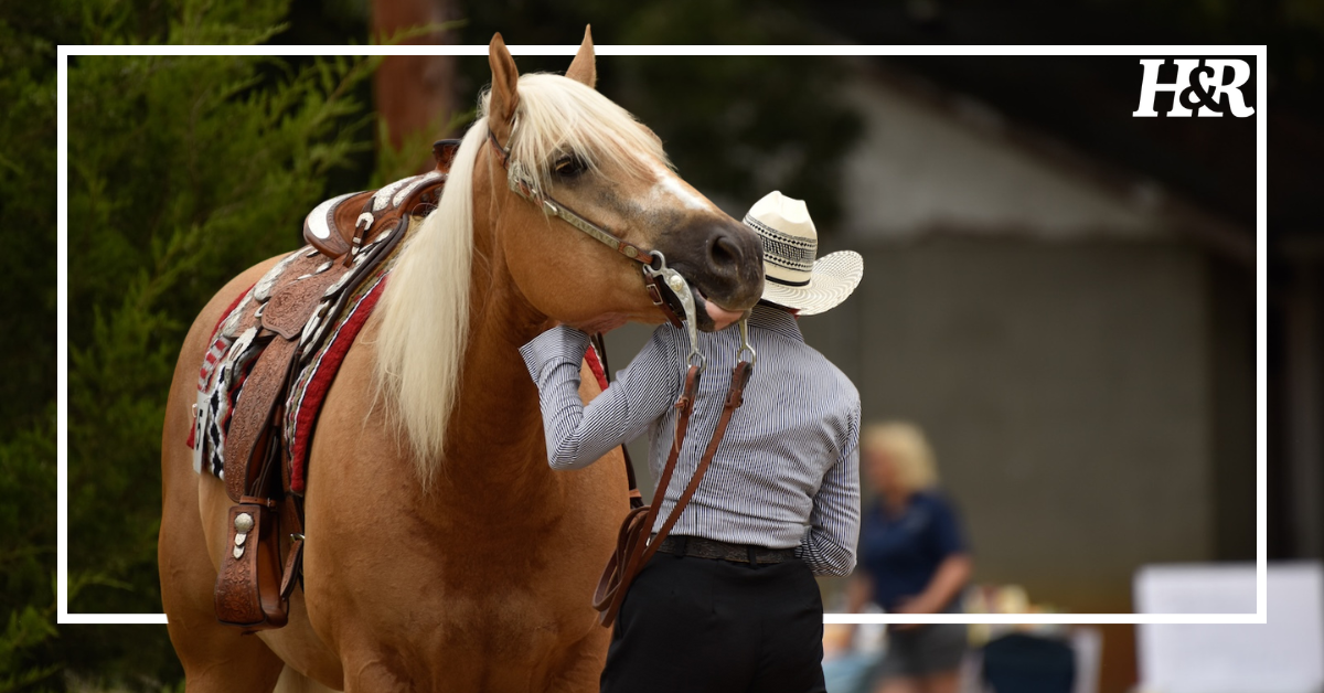 What to Know About the 2025 AQHA World Show
