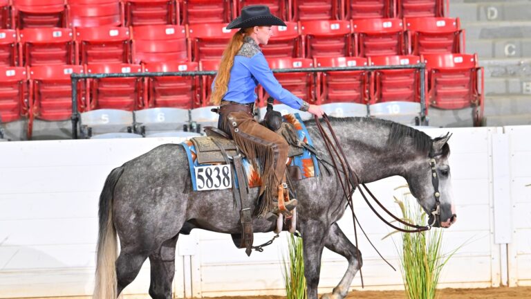 Shannon-Quinlan-Hill-Everybodystalkinatme-QHCongress-IMG_8343