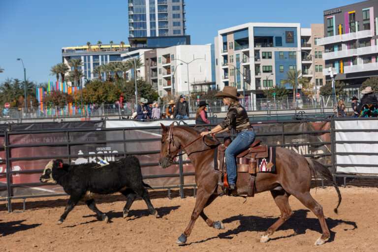 Cowboy-Town-Showdown-Ranch-Sorting-033A2000