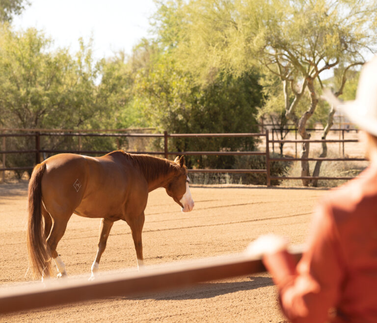 HR_25WIN_FEAT CRABBE Old Habits Die Hard