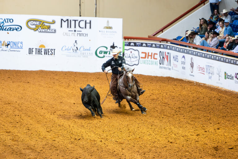 War Horse CHallenge Winner Larger Image