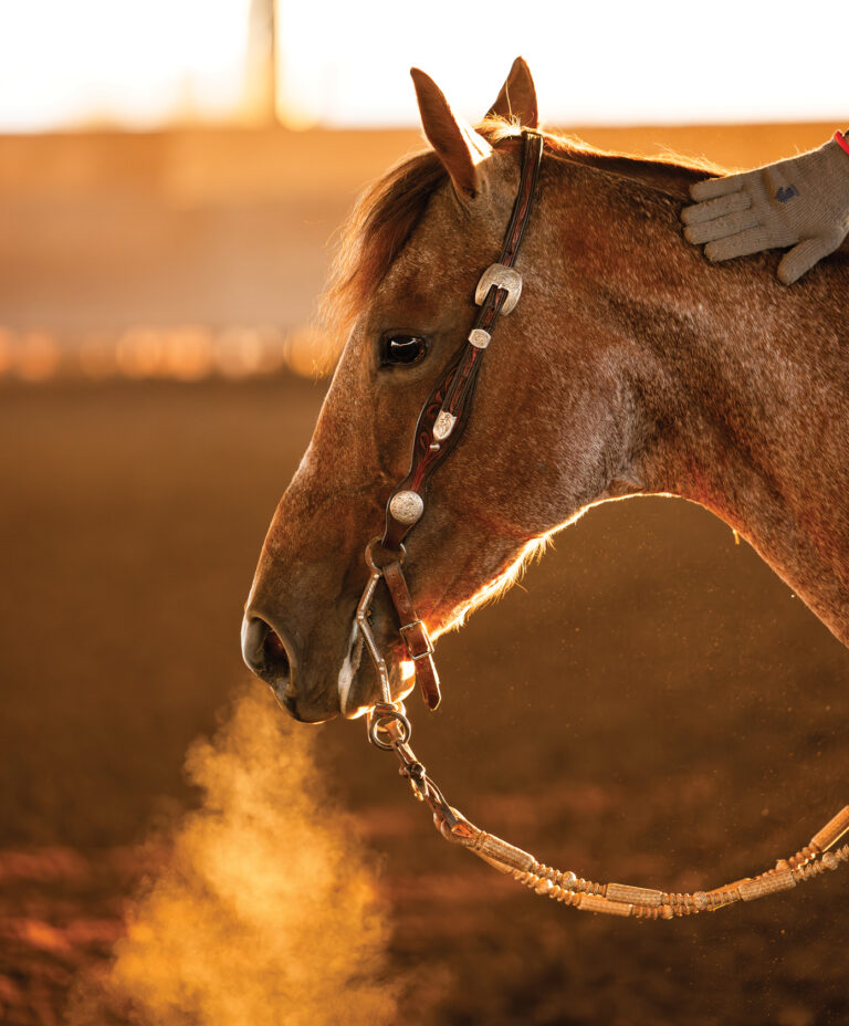 010_HR_WIN25_Respiratory-Issues