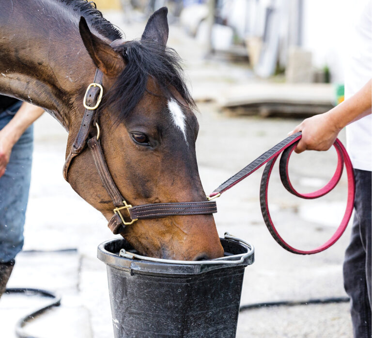 HR_25FALL_Solutions_feed-fixes