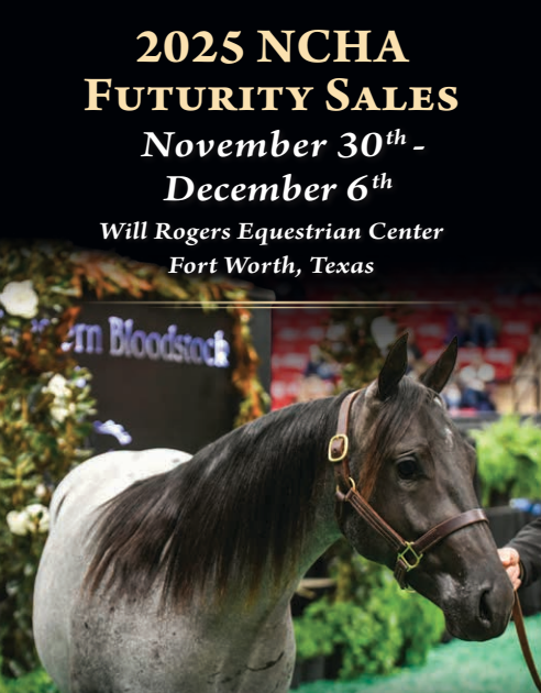 NCHA futurity sale