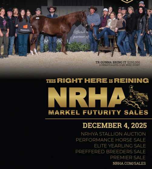 nrha markel futurity sale