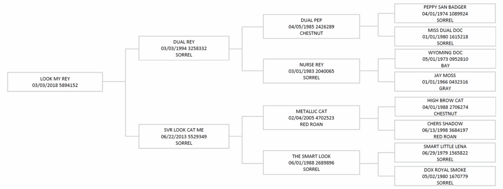 AQHA pedigree of Look My Rey