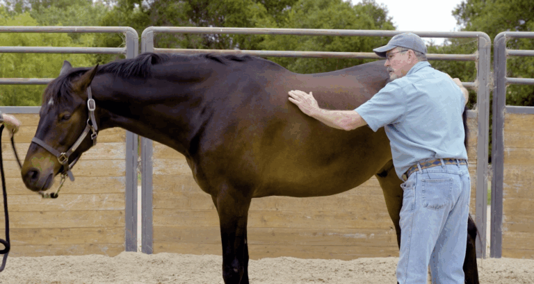 jim-masterson-tension-back-core