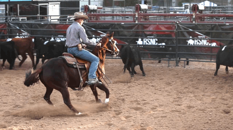 A rider wearing a cowboy hat and jeans guides a horse across the sand while sorting cattle inside an RSNC arena.