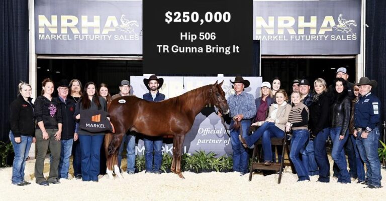 475989866_122192115272041876_5838801174552574848_n