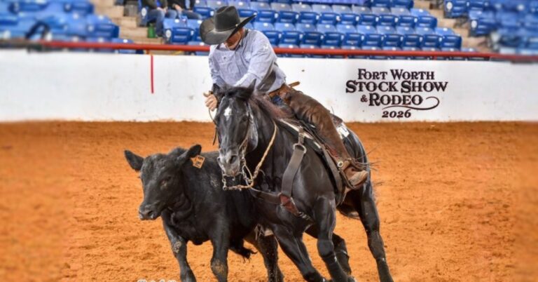 Boyd Rice and Blu Genes made two solid fence runs inside the John Justin Arena—one of which was a runoff—to capture the FWSSR Invitational Fence Work Challenge.