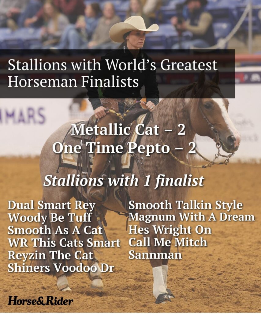 Crash Course: 2026 World's Greatest Horseman Finals