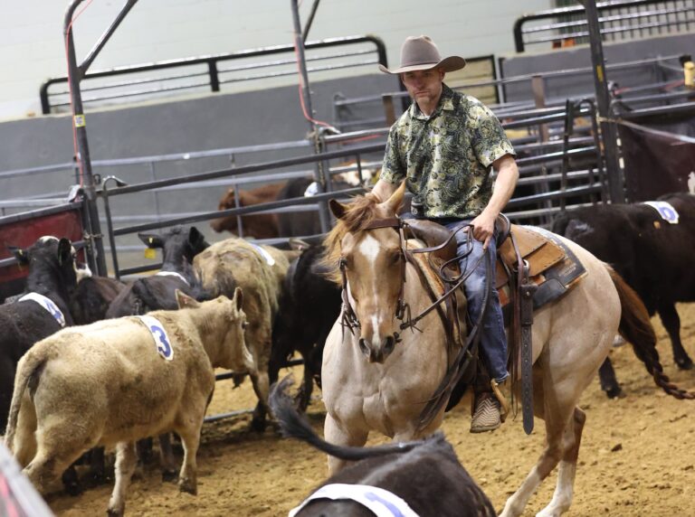 WHAllLevels-Dixie26-EC-033A8855