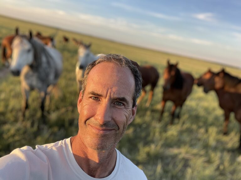 HORSE SELFIE