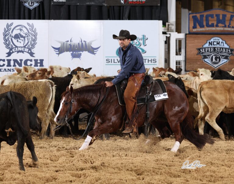 Kenneth_Platt_LBR_Hangem_294A6764