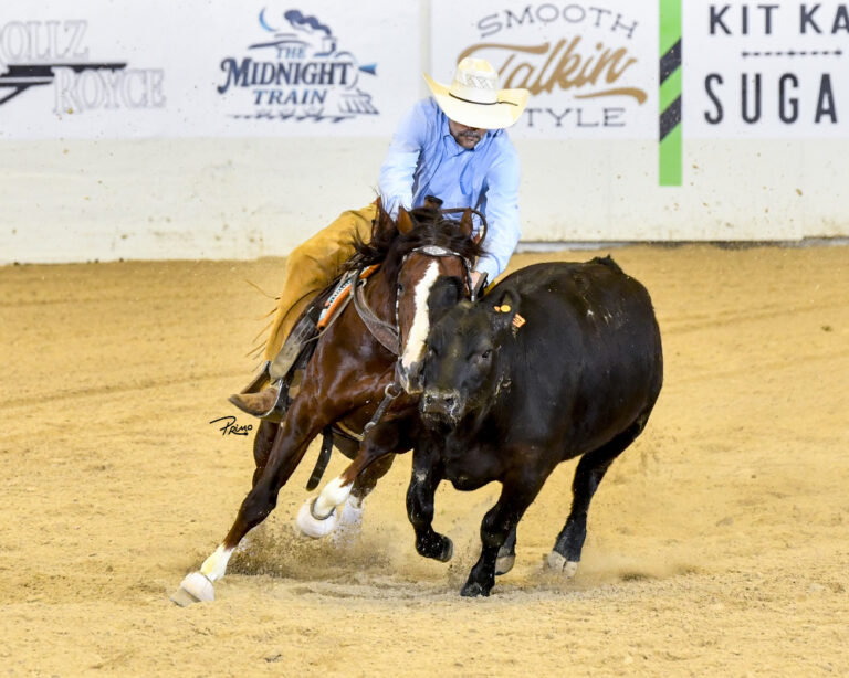 EmilyCarey-Horse&Rider-JeremyKnoles_DualinMetallicCat_26SS_MMM6146_WO