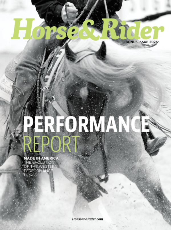 performance report cover